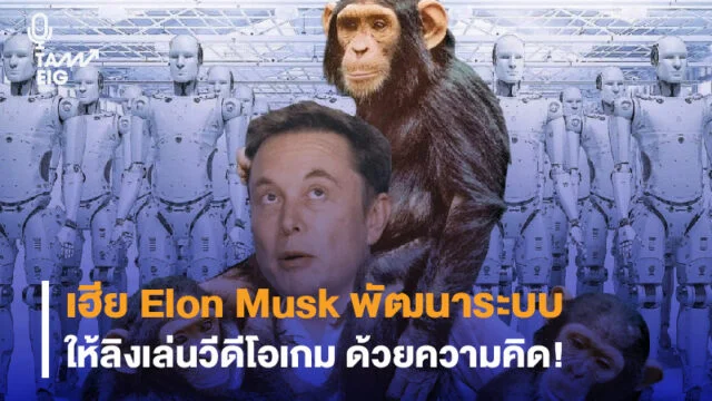 Home 71 เฮีย Elon Musk พัฒนาระบบให้ลิงเล่นวีดีโอเกม ด้วยความคิด Web