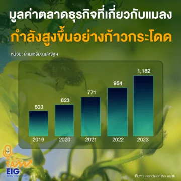 Home 73 มูลค่าตลาดธุรกิจที่เกี่ยวกับแมลง 01