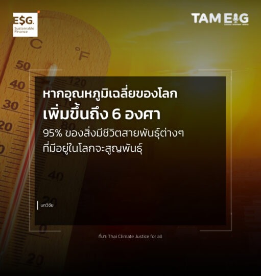 หากอุณหภูมิเฉลี่ยของโลกเพิ่มขึ้นถึง 6 องศา 95% ของสิ่งมีชีวิตสายพันธุ์ต่างๆ ที่มีอยู่ในโลกจะสูญพันธุ์