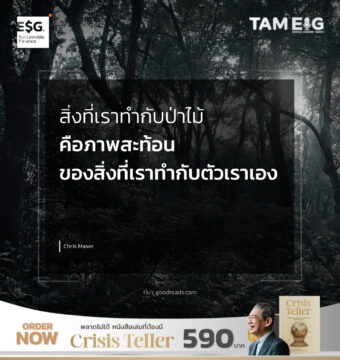 Home 78 สิ่งที่เราทำกับป่าไม้ คือภาพสะท้อนของสิ่งที่เราทำกับตัวเราเอง